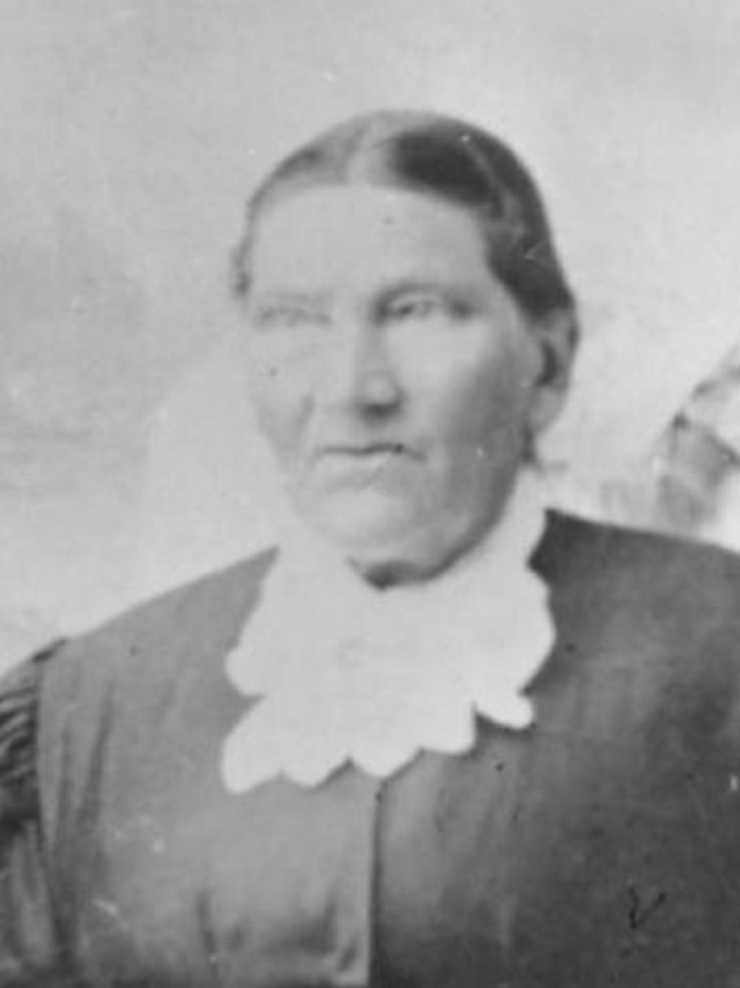 Hanna Marthea Hansen Hoffman (1825 - 1902) Profile